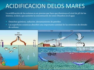 ACIDIFICACION DELOS MARES
La acidificación de los océanos es un proceso que hace que disminuya el nivel de pH de los
mismos, es decir, que aumente la concentración de iones Disueltos en el agua
 Desechos químicos, radiación ,derramamiento de petróleo
 Las superficies oceánicas absorben una importante cantidad de las emisiones de dióxido
de carbono
 