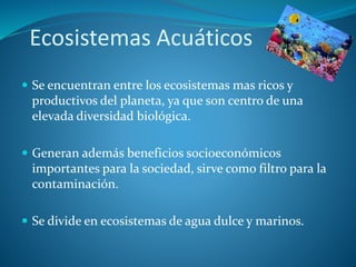 Ecosistemas Acuáticos
 Se encuentran entre los ecosistemas mas ricos y
productivos del planeta, ya que son centro de una
elevada diversidad biológica.
 Generan además beneficios socioeconómicos
importantes para la sociedad, sirve como filtro para la
contaminación.
 Se divide en ecosistemas de agua dulce y marinos.
 