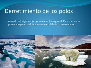 Derretimiento de los polos
 causado principalmente por calentamiento global. Este, a su vez es
provocado por el mal funcionamiento del efecto invernadero,
 