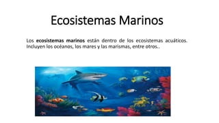 Ecosistemas Marinos
Los ecosistemas marinos están dentro de los ecosistemas acuáticos.
Incluyen los océanos, los mares y las marismas, entre otros..
 