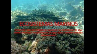 ECOSISTEMAS MARINOS
Existen dos tipos de ecosistemas acuáticos: los ecosistemas de agua
salada (marinos) y los ecosistemas de agua dulce ( también llamados
dulceacuícolas)
 