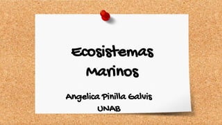 Ecosistemas
Marinos
Angelica Pinilla Galvis
UNAB
 