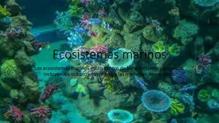 Ecosistemas marinos
Los ecosistemas marinos están dentro de los ecosistemas acuáticos.
Incluyen los océanos, los mares y las marismas, entre otros.
 