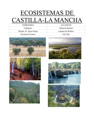 ECOSISTEMAS DE
CASTILLA-LA MANCHA
     TERRESTRES             ACUATICOS
       Cabañeros          Tablas de Daimiel
 Hayedo de Tejera Negra   Lagunas de Ruidera
   Serrania de Cuenca         Alto Tajo
 