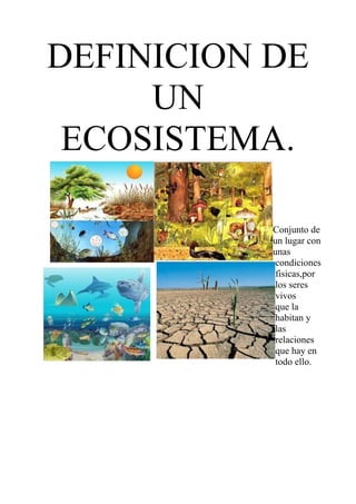 DEFINICION DE
     UN
 ECOSISTEMA.

           Conjunto de
           un lugar con
           unas
            condiciones
            fisicas,por
            los seres
            vivos
            que la
            habitan y
            las
            relaciones
            que hay en
            todo ello.
 
