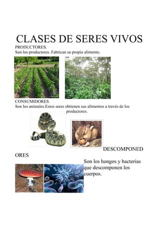 CLASES DE SERES VIVOS
PRODUCTORES.
Son los productores. Fabrican su propio alimento.




CONSUMIDORES
Son los animales.Estos seres obtienen sus alimentos a través de los
                              productores.




                                                    DESCOMPONED
ORES
                                        Son los hongos y bacterias
                                        que descomponen los
                                        cuerpos.
 