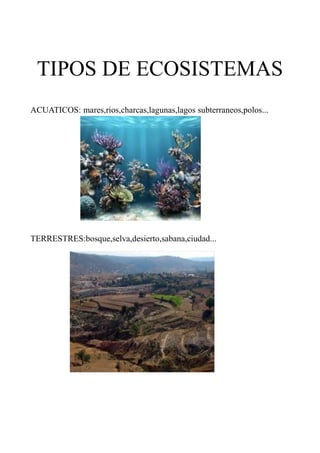 TIPOS DE ECOSISTEMAS
ACUATICOS: mares,rios,charcas,lagunas,lagos subterraneos,polos...




TERRESTRES:bosque,selva,desierto,sabana,ciudad...
 