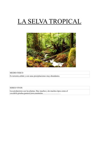 LA SELVA TROPICAL




MEDIO FISICO
Es terrestre,cálido y con unas precipitaciones muy abundantes.




SERES VIVOS
Los productores son las plantas. Hay muchos y de muchos tipos como el
cocodrilo,pirañas,pantera,loros,tarantulas.................................. .
 