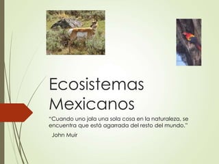 Ecosistemas 
Mexicanos 
“Cuando uno jala una sola cosa en la naturaleza, se 
encuentra que está agarrada del resto del mundo.” 
John Muir 
 