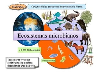 Ecosistemas microbianos
 