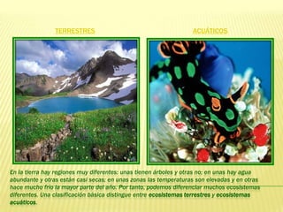 TERRESTRES                                       ACUÁTICOS




En la tierra hay regiones muy diferentes: unas tienen árboles y otras no; en unas hay agua
abundante y otras están casi secas; en unas zonas las temperaturas son elevadas y en otras
hace mucho frío la mayor parte del año. Por tanto, podemos diferenciar muchos ecosistemas
diferentes. Una clasificación básica distingue entre ecosistemas terrestres y ecosistemas
acuáticos.
 