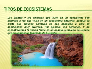 TIPOS DE ECOSISTEMAS
 Las plantas y los animales que viven en un ecosistema son
 distintos a los que viven en un ecosistema diferente, aunque es
 cierto que algunos animales se han adaptado a vivir en
 condiciones muy diversas. Por ejemplo, las personas. Y no
 encontraremos la misma fauna en un bosque templado de España
 que en un bosque templado de Australia.
 