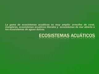 La gama de ecosistemas acuáticos es muy amplia: arrecifes de coral,
manglares, ecosistemas acuáticos litorales y ecosistemas de mar abierto o
los ecosistemas de aguas dulces.

                           ECOSISTEMAS ACUÁTICOS
 