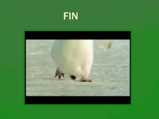 FIN
 