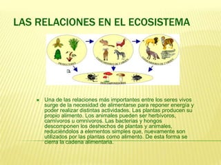 LAS RELACIONES EN EL ECOSISTEMA




       Una de las relaciones más importantes entre los seres vivos
        surge de la necesidad de alimentarse para reponer energía y
        poder realizar distintas actividades. Las plantas producen su
        propio alimento. Los animales pueden ser herbívoros,
        carnívoros u omnívoros. Las bacterias y hongos
        descomponen los deshechos de plantas y animales,
        reduciéndolos a elementos simples que, nuevamente son
        utilizados por las plantas como alimento. De esta forma se
        cierra la cadena alimentaria.
 