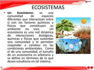 Inicio
ECOSISTEMAS
• Un Ecosistema: es una
comunidad de especies
diferentes que interactúan entre
sí con los factores químicos y
físicos que constituyen su
ambiente no vivo. Un
ecosistema es una red dinámica
de interacciones biológicas,
químicas y físicas que sustentan
una comunidad y le permiten
responder a cambios en las
condiciones ambientales. Como
el de una comunidad, el tamaño
de un ecosistema es arbitrario y
se define en términos de lo que
desee estudiarse en tal sistema.
 