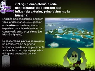 Ningún ecosistema puede
          considerarse todo cerrado a la
          influencia exterior, principalmente la
          humana:
Los más aislados son los insulares
y los fondos marinos que generan
endemismos, es decir, poseen
especies que solo existen o se han
conservado en su ecosistema (ver
islas Galápagos).

Si pensamos al planeta tierra como
un ecosistema no se podría
tampoco considerar completamente
aislado del externo porque precisa
del aporte energético del sol.
 