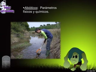 Abióticos: Parámetros
físicos y químicos.
 