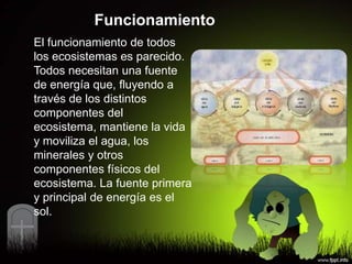 Funcionamiento
El funcionamiento de todos
los ecosistemas es parecido.
Todos necesitan una fuente
de energía que, fluyendo a
través de los distintos
componentes del
ecosistema, mantiene la vida
y moviliza el agua, los
minerales y otros
componentes físicos del
ecosistema. La fuente primera
y principal de energía es el
sol.
 