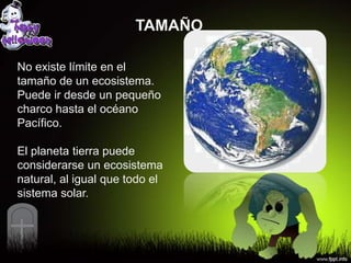 TAMAÑO

No existe límite en el
tamaño de un ecosistema.
Puede ir desde un pequeño
charco hasta el océano
Pacífico.

El planeta tierra puede
considerarse un ecosistema
natural, al igual que todo el
sistema solar.
 
