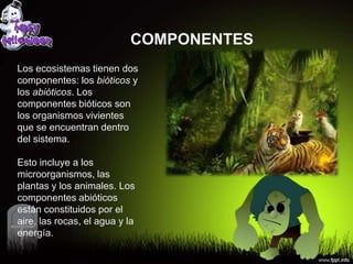 COMPONENTES
Los ecosistemas tienen dos
componentes: los bióticos y
los abióticos. Los
componentes bióticos son
los organismos vivientes
que se encuentran dentro
del sistema.

Esto incluye a los
microorganismos, las
plantas y los animales. Los
componentes abióticos
están constituidos por el
aire, las rocas, el agua y la
energía.
 