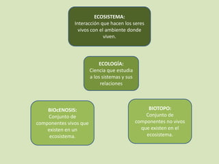 ECOLOGÍA:
Ciencia que estudia
a los sistemas y sus
relaciones
BIOTOPO:
Conjunto de
componentes no vivos
que existen en el
ecosistema.
BIOcENOSIS:
Conjunto de
componentes vivos que
existen en un
ecosistema.
ECOSISTEMA:
Interacción que hacen los seres
vivos con el ambiente donde
viven.
 