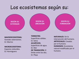 Los ecosistemas según su:
SEGÚN SU
EXTENSIóN
SEGÚN SU
UBICACIÓN
SEGÚN SU
FORMACIÓN
MACROECOSISTEMA:
Grandes extensiones.
EJ: Marino
MICROECOSISTEMA:
Espacios reducidos.
EJ: Hormiguero
TERRESTRE:
Superficies sólidas.
EJ: Selva
ACUÁTICOS:
Superficies de agua.
EJ: Mar
DE TRANSICIÓN: El
limite entre los dos.
EJ: Playa
NATURALES: Sin la
intervención del humano.
ARTIFICIALES: Creados
por el humano.
HUMANOS: Ecosistema
natural modificado por el
humano.
 