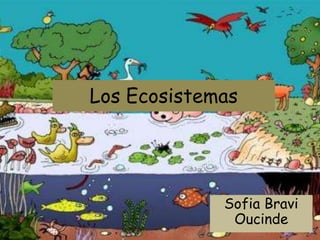 Los Ecosistemas
Sofia Bravi
Oucinde
 