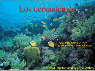 Los ecosistemas
Prof. Víctor Jhony Caro Rituay
QUINTO GRADO «C»
I.E. Nº 82048 - ENCAÑADA
 