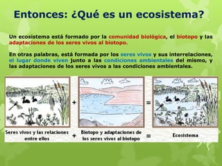 Entonces: ¿Qué es un ecosistema?
Un ecosistema está formado por la comunidad biológica, el biotopo y las
adaptaciones de los seres vivos al biotopo.
En otras palabras, está formada por los seres vivos y sus interrelaciones,
el lugar donde viven junto a las condiciones ambientales del mismo, y
las adaptaciones de los seres vivos a las condiciones ambientales.
 