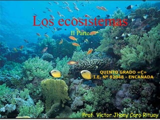 Los ecosistemas
II Parte
Prof. Víctor Jhony Caro Rituay
QUINTO GRADO «C»
I.E. Nº 82048 - ENCAÑADA
 