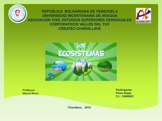 REPÚBLICA BOLIVARIANA DE VENEZUELA
UNIVERSIDAD BICENTENARIA DE ARAGUA
ASOCIACION CIVIL ESTUDIOS SUPERIORES GERENCIALES
CORPORATIVOS VALLES DEL TUY
CREATEC-CHARALLAVE
Participante:
Phare Rojas
C.I.: 19060901
Charallave , 2019
Profesora:
Mayira Bravo
 