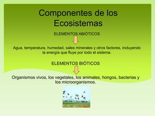 ELEMENTOS ABIÓTICOS
Agua, temperatura, humedad, sales minerales y otros factores, incluyendo
la energía que fluye por todo el sistema.
Componentes de los
Ecosistemas
ELEMENTOS BIÓTICOS
Organismos vivos, los vegetales, los animales, hongos, bacterias y
los microorganismos.
 