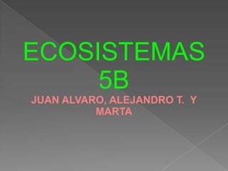 ECOSISTEMAS
     5B
JUAN ALVARO, ALEJANDRO T. Y
          MARTA
 
