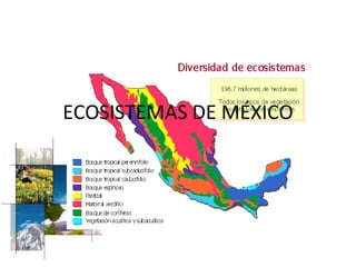 ECOSISTEMAS DE MÉXICO 