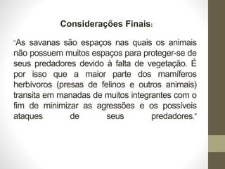 “As savanas são espaços nas quais os animais
não possuem muitos espaços para proteger-se de
seus predadores devido à falta de vegetação. É
por isso que a maior parte dos mamíferos
herbívoros (presas de felinos e outros animais)
transita em manadas de muitos integrantes com o
fim de minimizar as agressões e os possíveis
ataques de seus predadores.”
Considerações Finais:
 