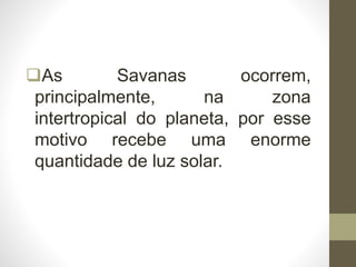 As Savanas ocorrem,
principalmente, na zona
intertropical do planeta, por esse
motivo recebe uma enorme
quantidade de luz solar.
 
