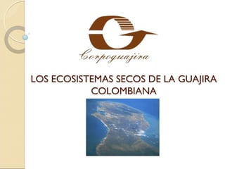 LOS ECOSISTEMAS SECOS DE LA GUAJIRA
           COLOMBIANA
 