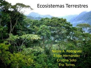 Ecosistemas Terrestres Nicole A. Rodríguez Edgar Hernández Cristina Soto  Eric Torres 