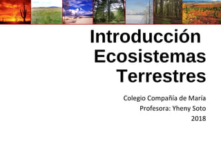 Introducción
Ecosistemas
Terrestres
Colegio Compañía de María
Profesora: Yheny Soto
2018
 
