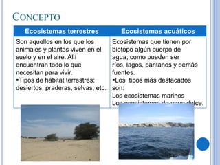 CONCEPTO
Ecosistemas terrestres

Ecosistemas acuáticos

Son aquellos en los que los
animales y plantas viven en el
suelo y en el aire. Allí
encuentran todo lo que
necesitan para vivir.
Tipos de hábitat terrestres:
desiertos, praderas, selvas, etc.

Ecosistemas que tienen por
biotopo algún cuerpo de
agua, como pueden ser
ríos, lagos, pantanos y demás
fuentes.
Los tipos más destacados
son:
Los ecosistemas marinos
Los ecosistemas de agua dulce.

 