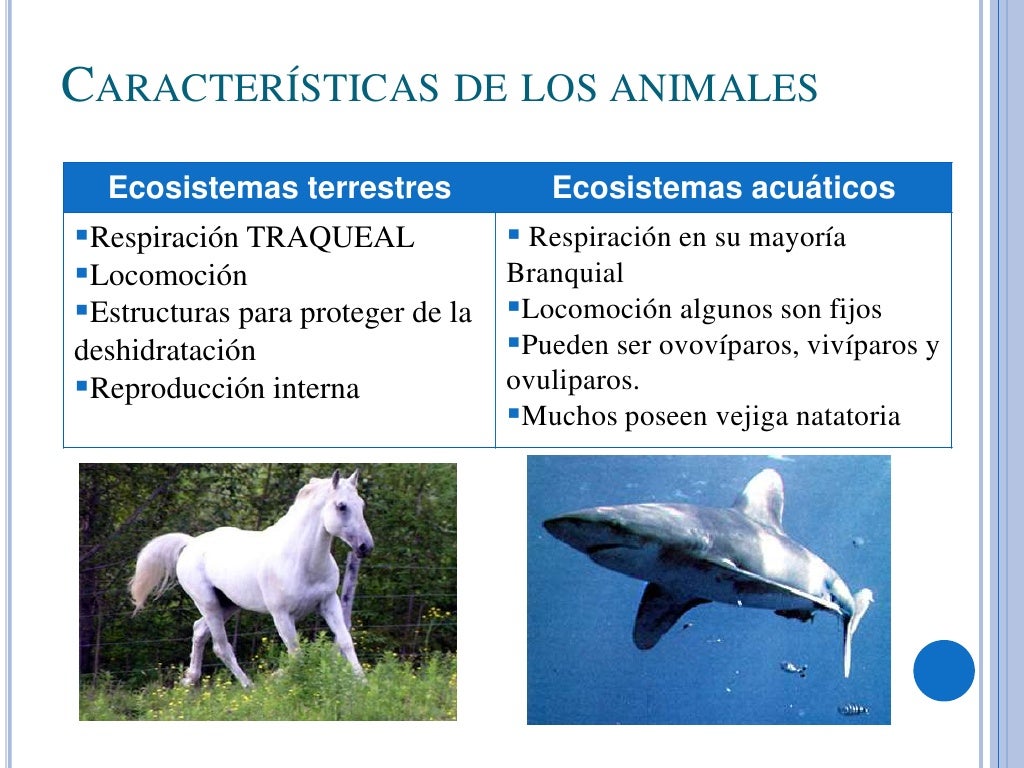 Ecosistemas terrestres y acuáticos
