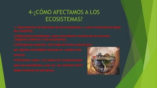 4-¿CÓMO AFECTAMOS A LOS
ECOSISTEMAS?
1- Deterioramos las funciones de los ecosistemas, y como consecuencia dejan
de cumplirlas.
2-Destruimos ecosistemas: como necesitamos muchos de sus recursos
,llegamos a destruir a los ecosistemas.
3-Extinguimos especies: esto llega de forma natural pero
por algunas actividades humanas se acelera este
proceso.
4-Perdemos suelos : los suelos son fundamentales
para los ecosistemas y aun así, con diversas activi-
dadas humanas los perdemos.
 