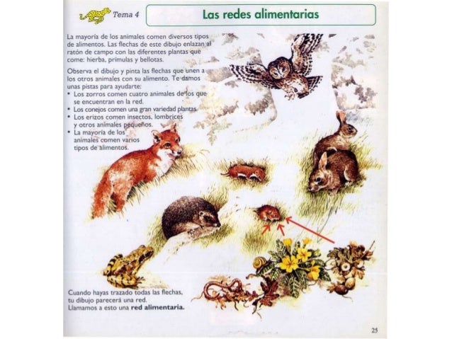 Ecosistemas Uruguayos Y Red Trofica