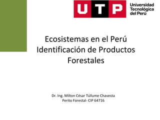 Ecosistemas en el Perú
Identificación de Productos
Forestales
Dr. Ing. Milton César Túllume Chavesta
Perito Forestal- CIP 64716
 