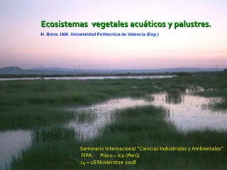 Ecosistemas  vegetales acuáticos y palustres. H. Boira. IAM. Universidad Politecnica de Valencia (Esp.) Seminario Internacional “Ciencias Industriales y Ambientales”.                         FIPA.      Pisco – Ica (Perú) 14 – 16 Noviembre 2008 