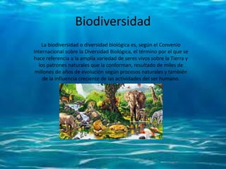 Biodiversidad
La biodiversidad o diversidad biológica es, según el Convenio
Internacional sobre la Diversidad Biológica, el término por el que se
hace referencia a la amplia variedad de seres vivos sobre la Tierra y
los patrones naturales que la conforman, resultado de miles de
millones de años de evolución según procesos naturales y también
de la influencia creciente de las actividades del ser humano.
 