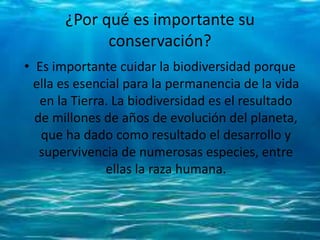 ¿Por qué es importante su
conservación?
• Es importante cuidar la biodiversidad porque
ella es esencial para la permanencia de la vida
en la Tierra. La biodiversidad es el resultado
de millones de años de evolución del planeta,
que ha dado como resultado el desarrollo y
supervivencia de numerosas especies, entre
ellas la raza humana.
 
