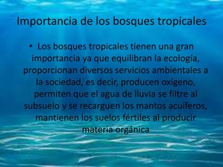 Importancia de los bosques tropicales
• Los bosques tropicales tienen una gran
importancia ya que equilibran la ecología,
proporcionan diversos servicios ambientales a
la sociedad, es decir, producen oxígeno,
permiten que el agua de lluvia se filtre al
subsuelo y se recarguen los mantos acuíferos,
mantienen los suelos fértiles al producir
materia orgánica
 