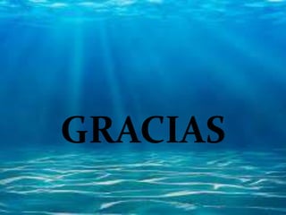 GRACIAS
 